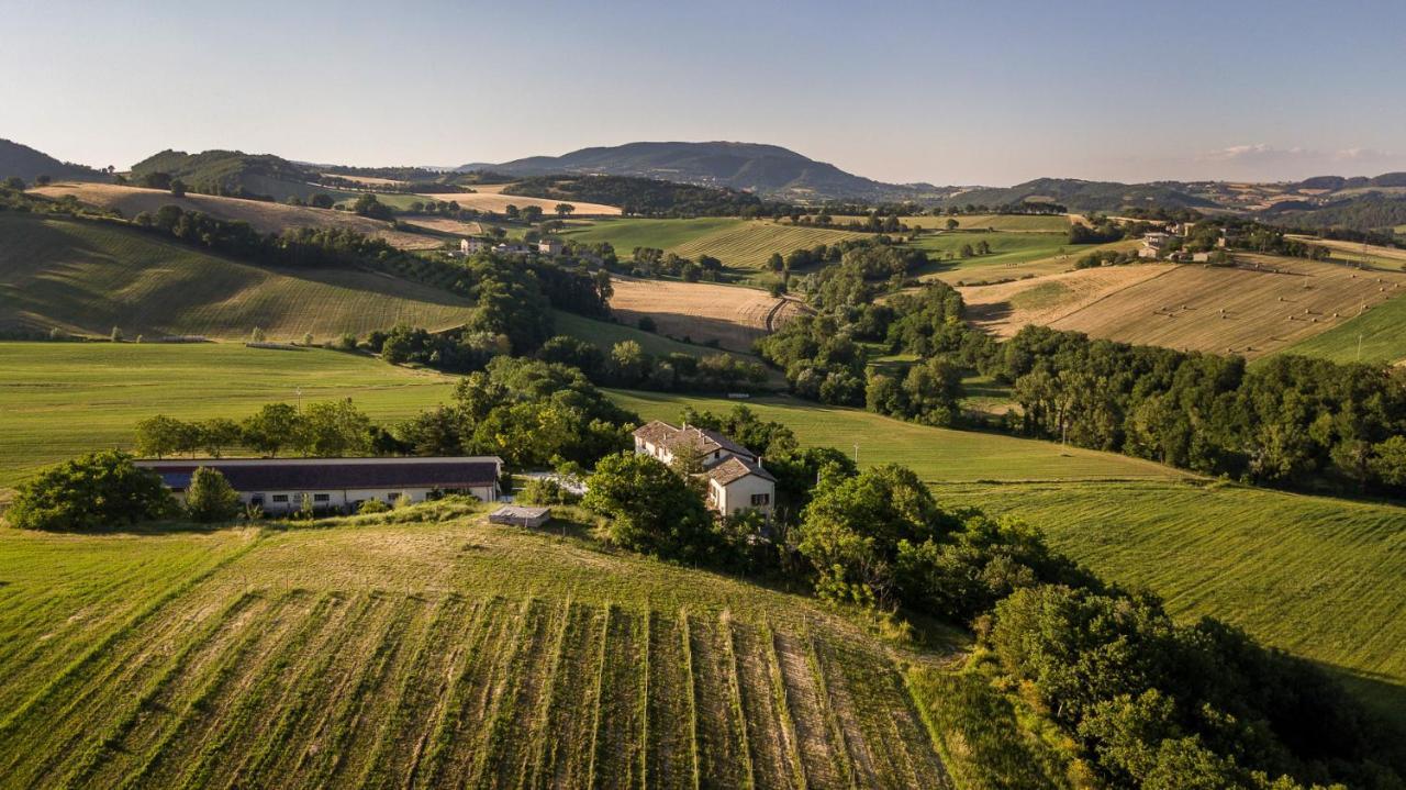Agriturismo Podere Coldifico Sassoferrato Exteriér fotografie